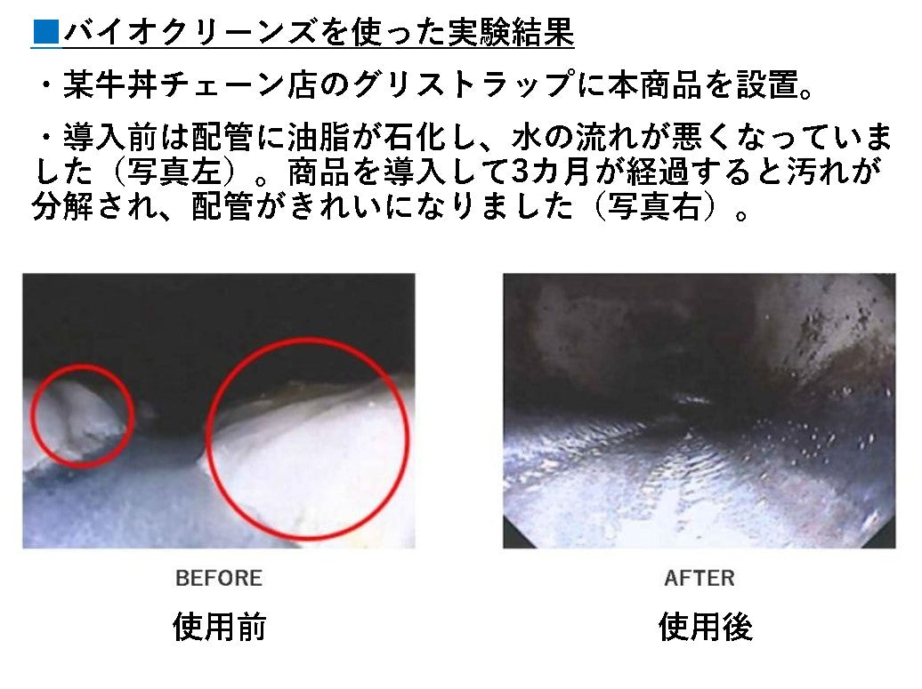バイオクリーンズ グリストラップ用 配管洗浄剤